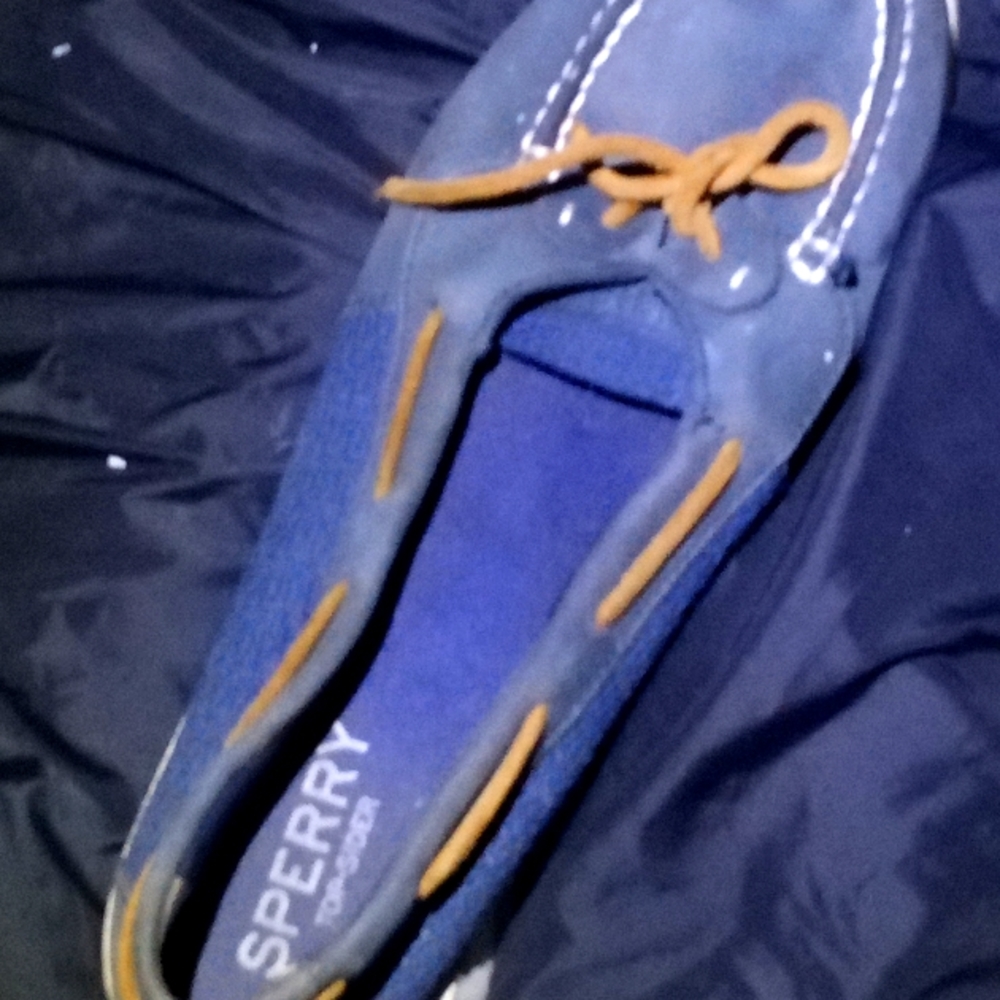 Sperry